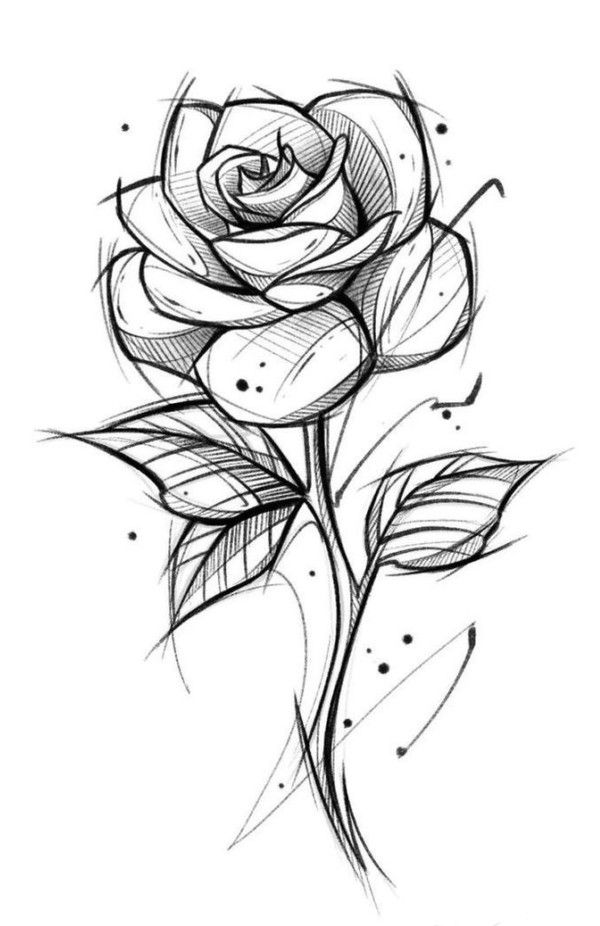 Rose Tattoo Outline Tumblr Viewing Gallery Tattoo Outline Drawing