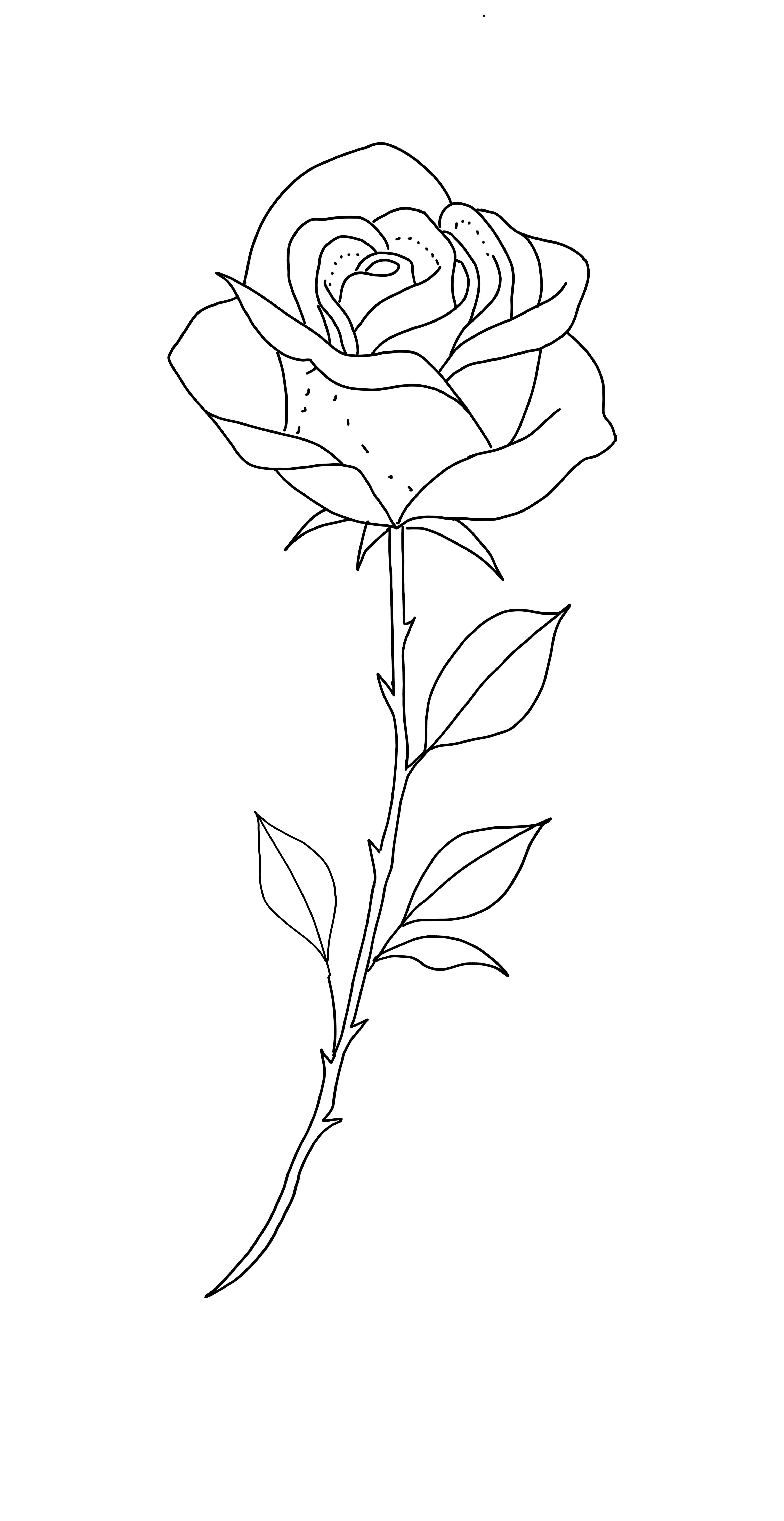 Simple Rose Tattoo Outline Designs and Ideas