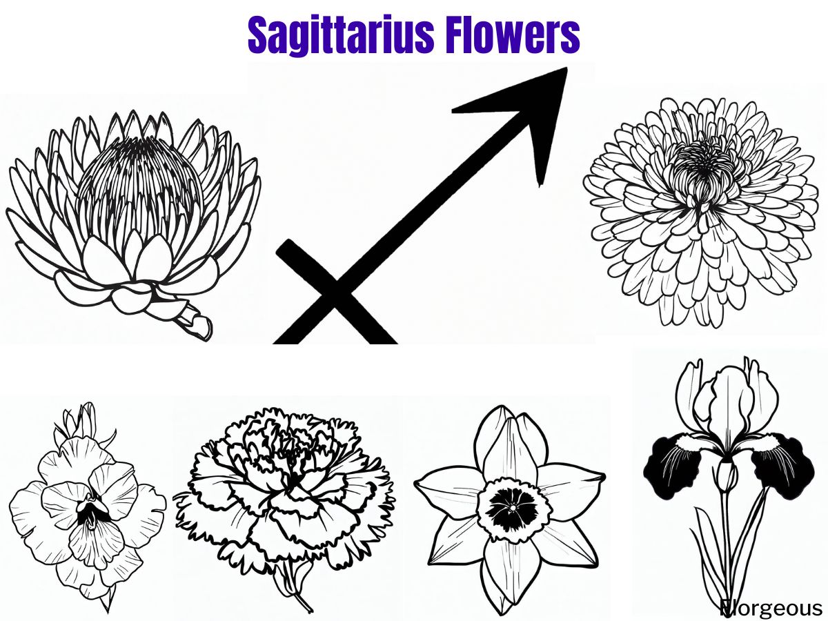 Sagittarius Birth Flower Tattoo Discover The Meaning Behind Your Next