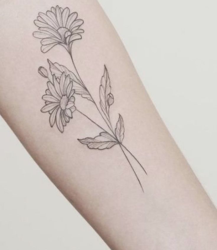 September Birth Flower Tattoo Ideas The Aster Tattoo Glee