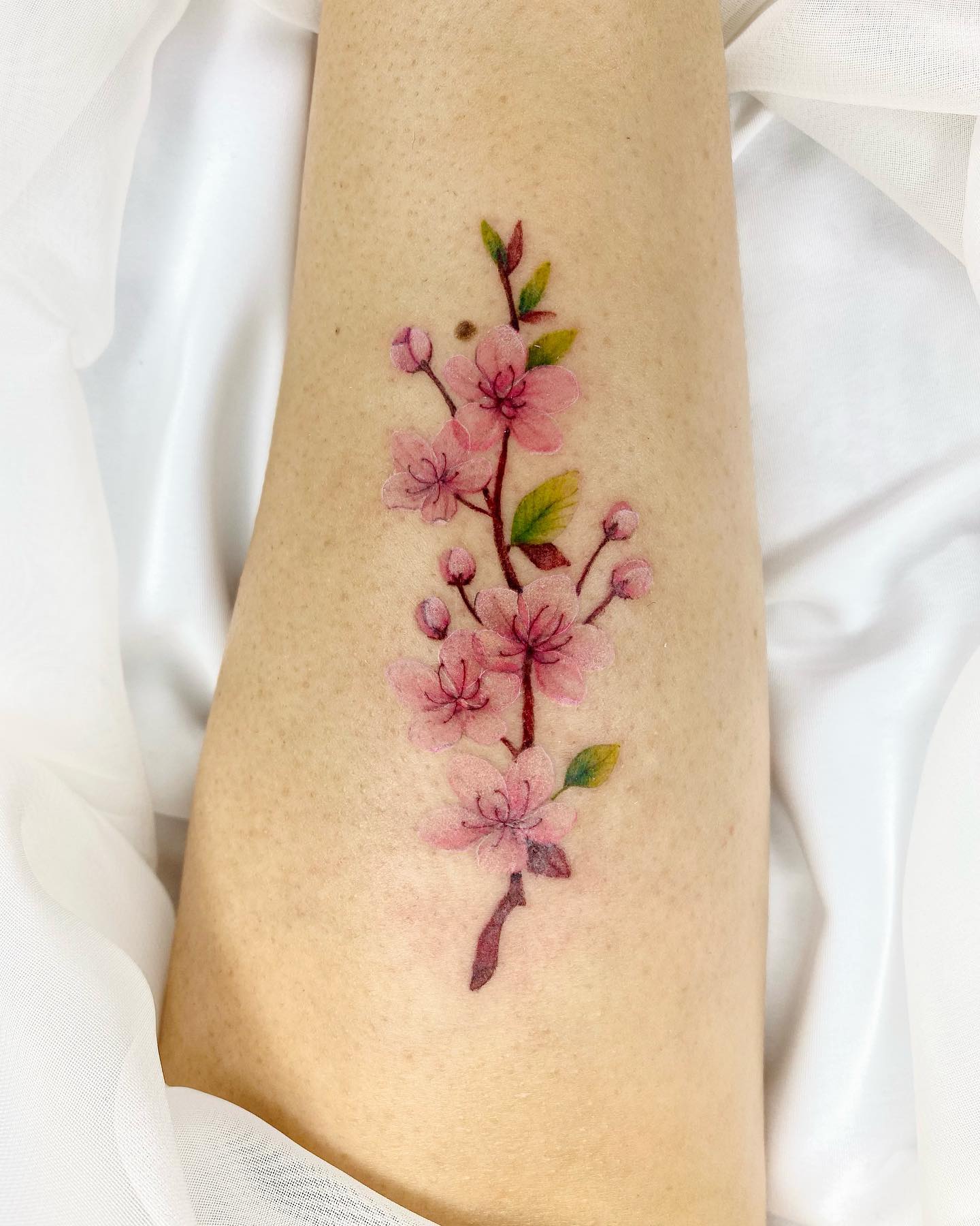 Share More Than 80 Japanese Cherry Blossom Tattoo Best In Coedo Com Vn