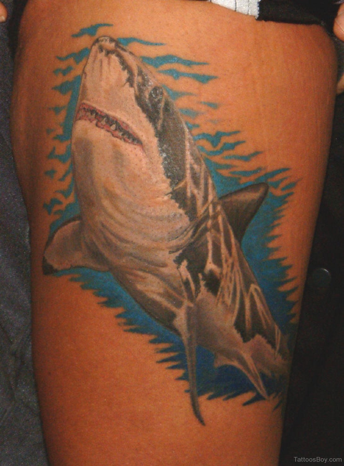 Significance Of Tattoos In Different Cultures Shark Tattoos