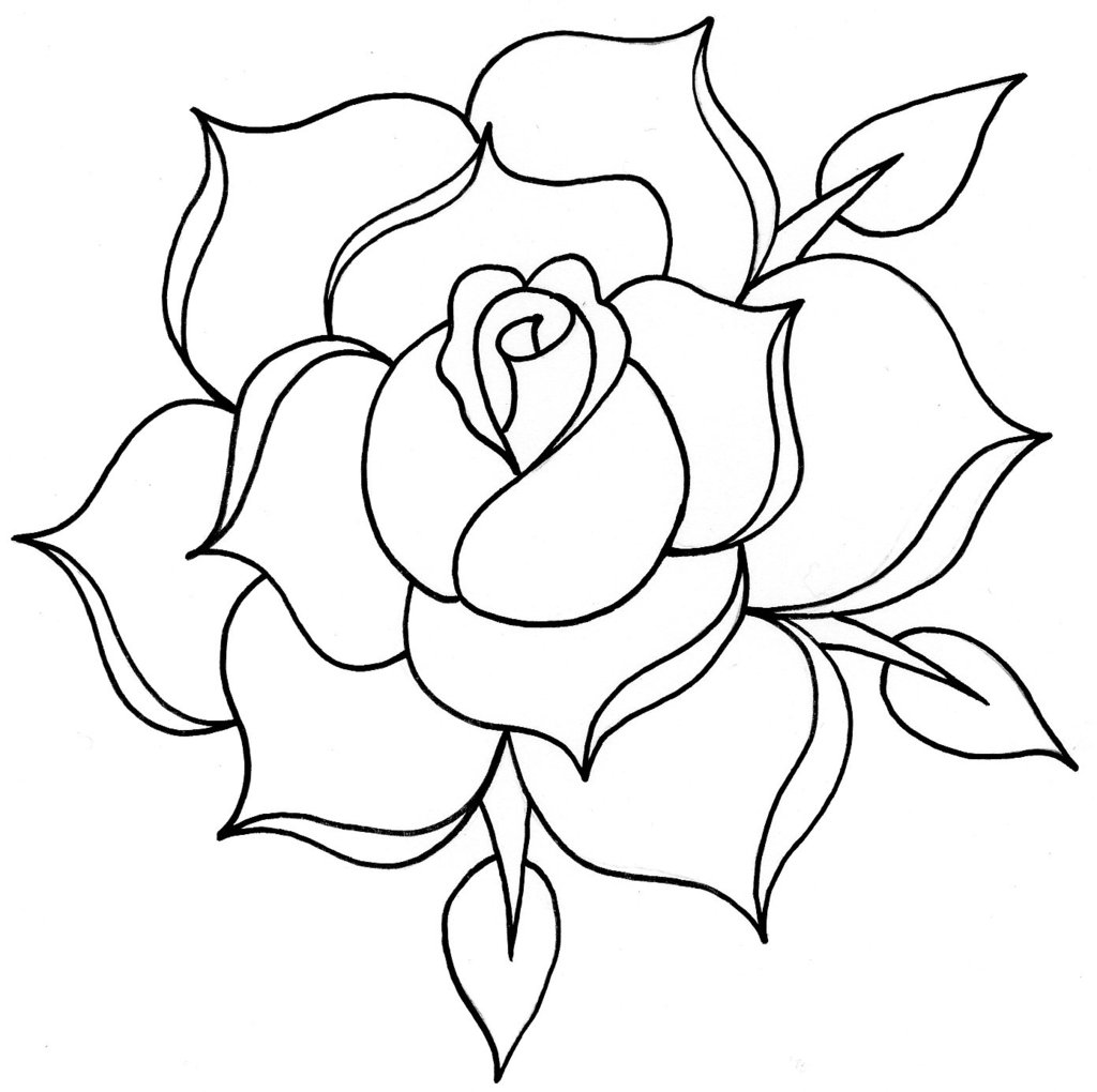 Simple Rose Drawing Outline