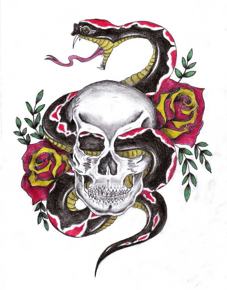 Skull And Snake Tattoo Design By Thomas Barnard Studio 1060 Tattoos