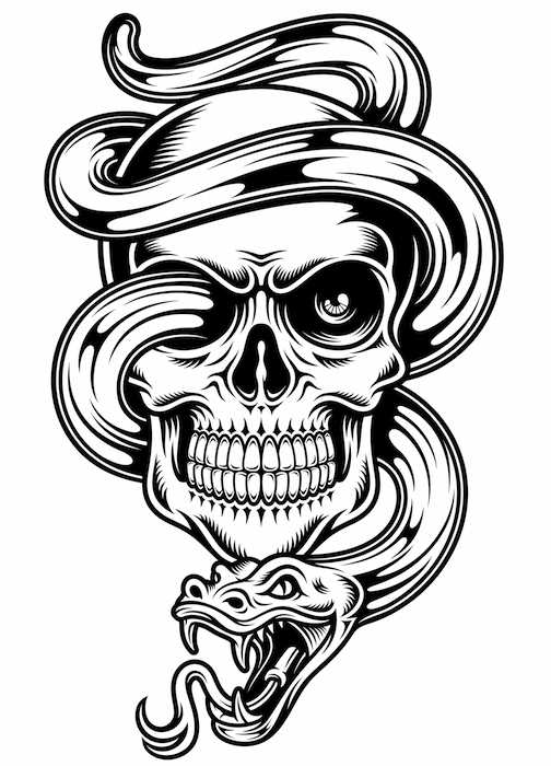 Skull And Snake Tattoo Snake Tattoo Snake Tattoo Meaning Tattoos