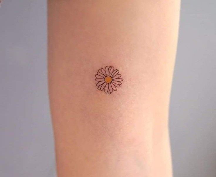 10 Delicate Small Daisy Tattoo Ideas to Inspire