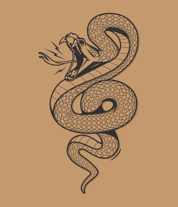 Snake Drawing Tattoo Ideas Snake Drawing Yunahasnipico