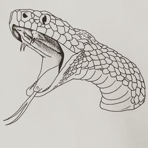 Snake Head Tattoo Design Ideas and Meanings