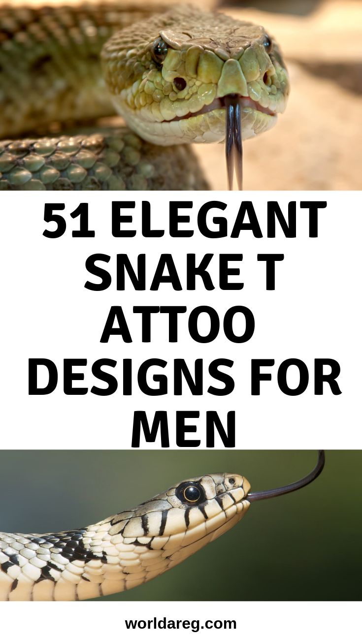 Unique Snake Tattoo Designs for Men Revealed