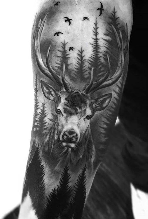 Stag Tattoo Deer Tattoo Designs Stag Tattoo Tattoos