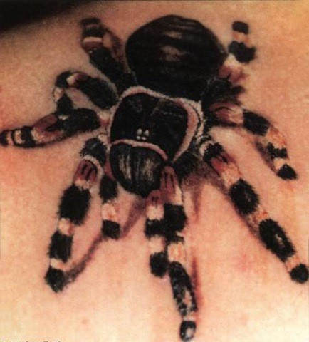 Tarantula Spider Tattoo Designs and Meanings Explained