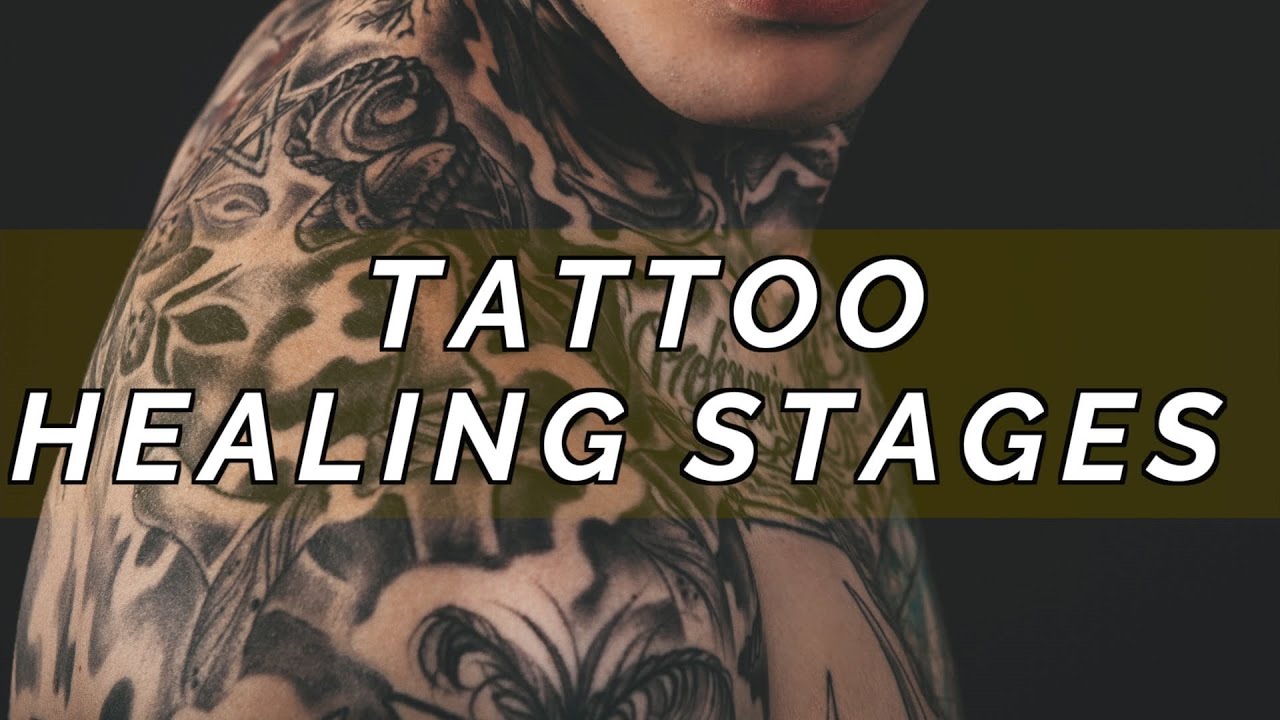 Tattoo Healing Process Day By Day Youtube