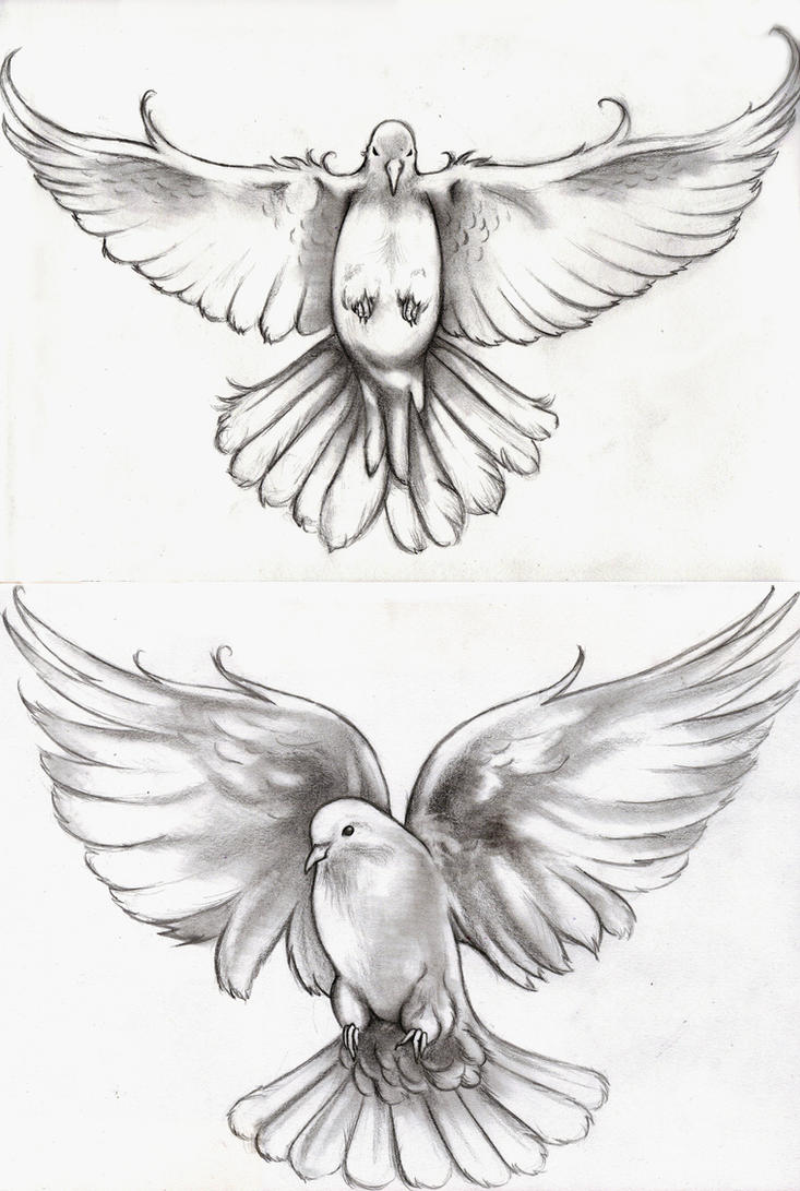 Doves Tattoo Symbolism and Designs Explained