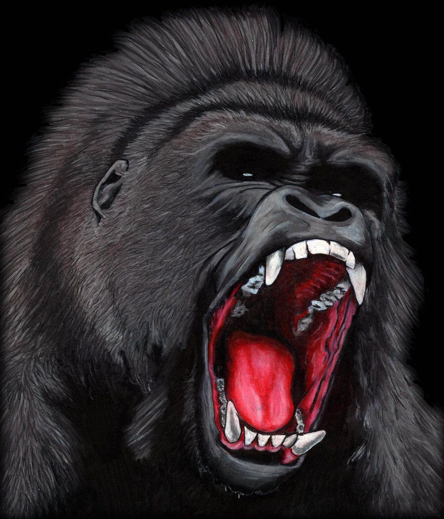 7 Amazing Gorilla Tattoo Designs You'll Love