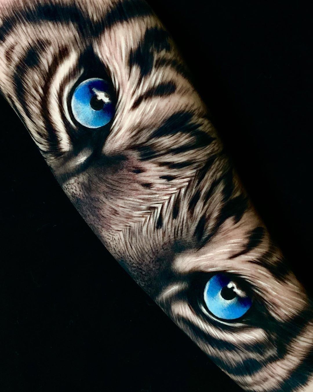 Tatuaje Ojos De Tigre Tatuaje De Tigre Tatuaje