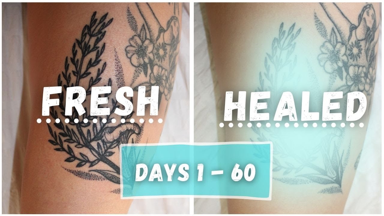 Top 70 Tattoo Healing Process Pictures In Cdgdbentre