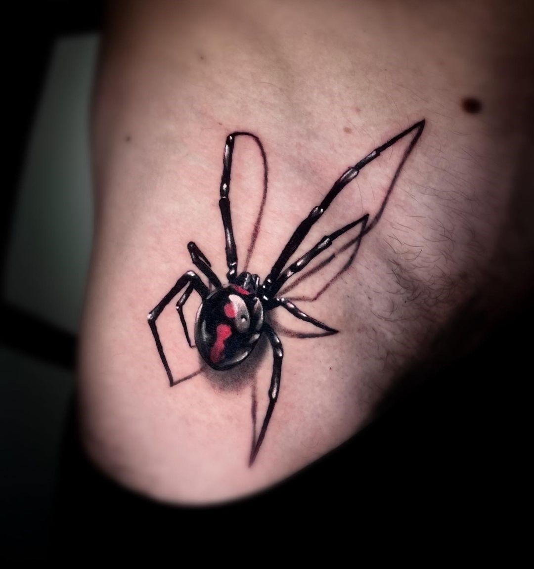 Top More Than 71 Spider Tattoo On Stomach Best In Cdgdbentre