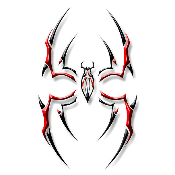 Tribal Spider Tattoo Design Tribal Tattoo Designs Tattoo Tribal Dragon Tattoo Designs Tattoo