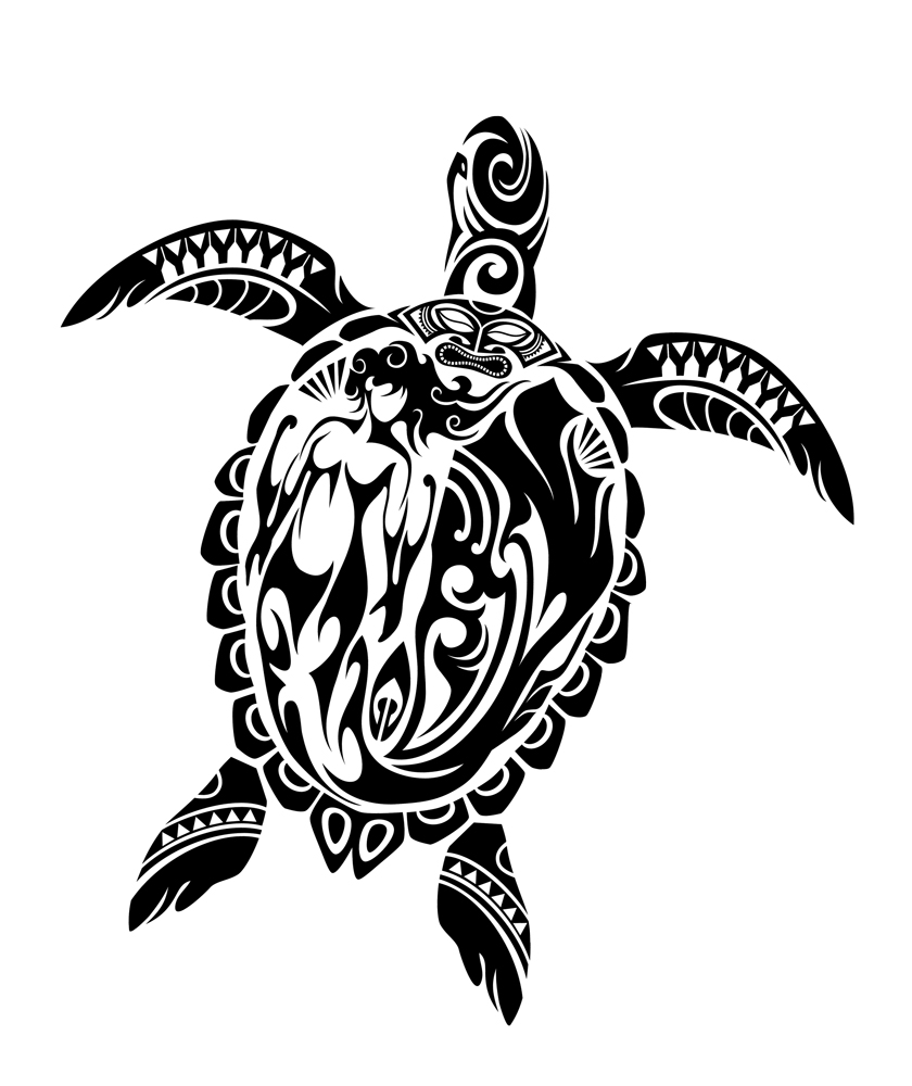 Tribal Turtle Tattoo Meaning and Designs Explained