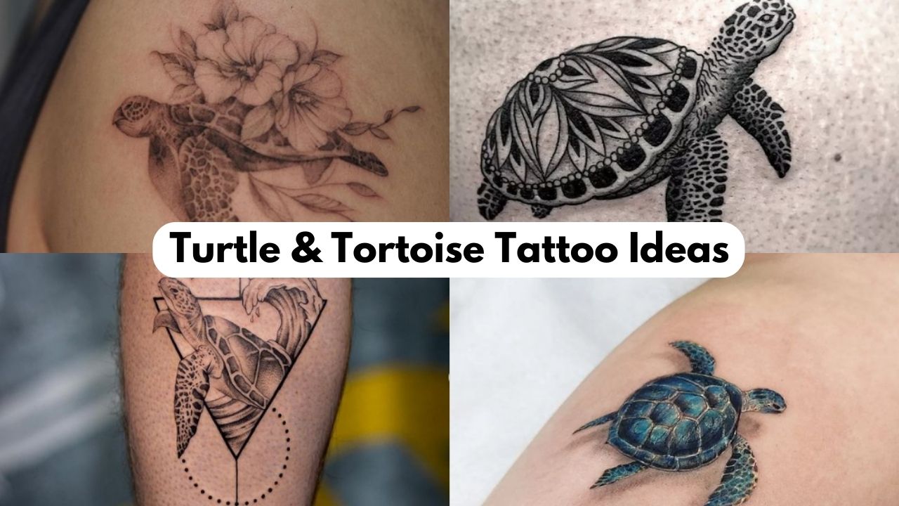 20 Unique Turtle Tortoise Tattoo Designs