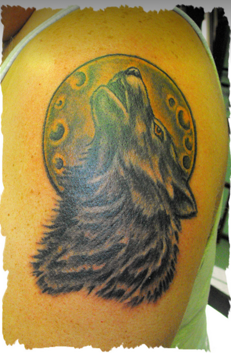 Wolf Tattoos Designs Ideas And Meanings Wolf Tattoo Design Dream